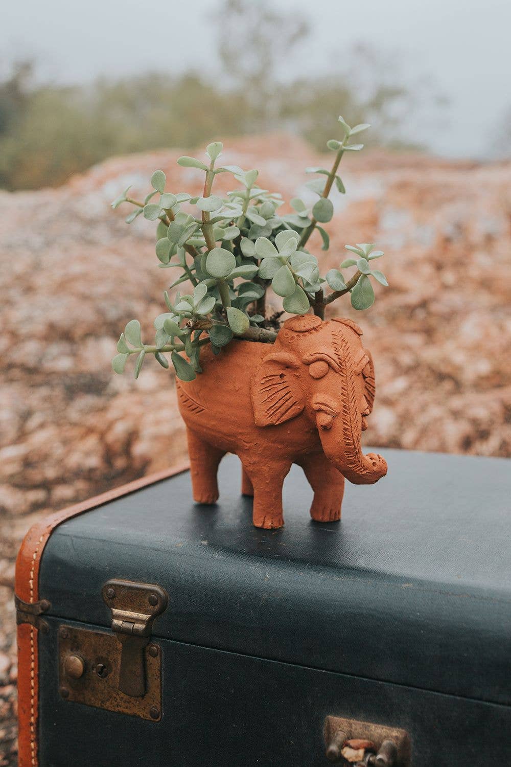 Rakshana Elephant Plant Pot - Terracotta