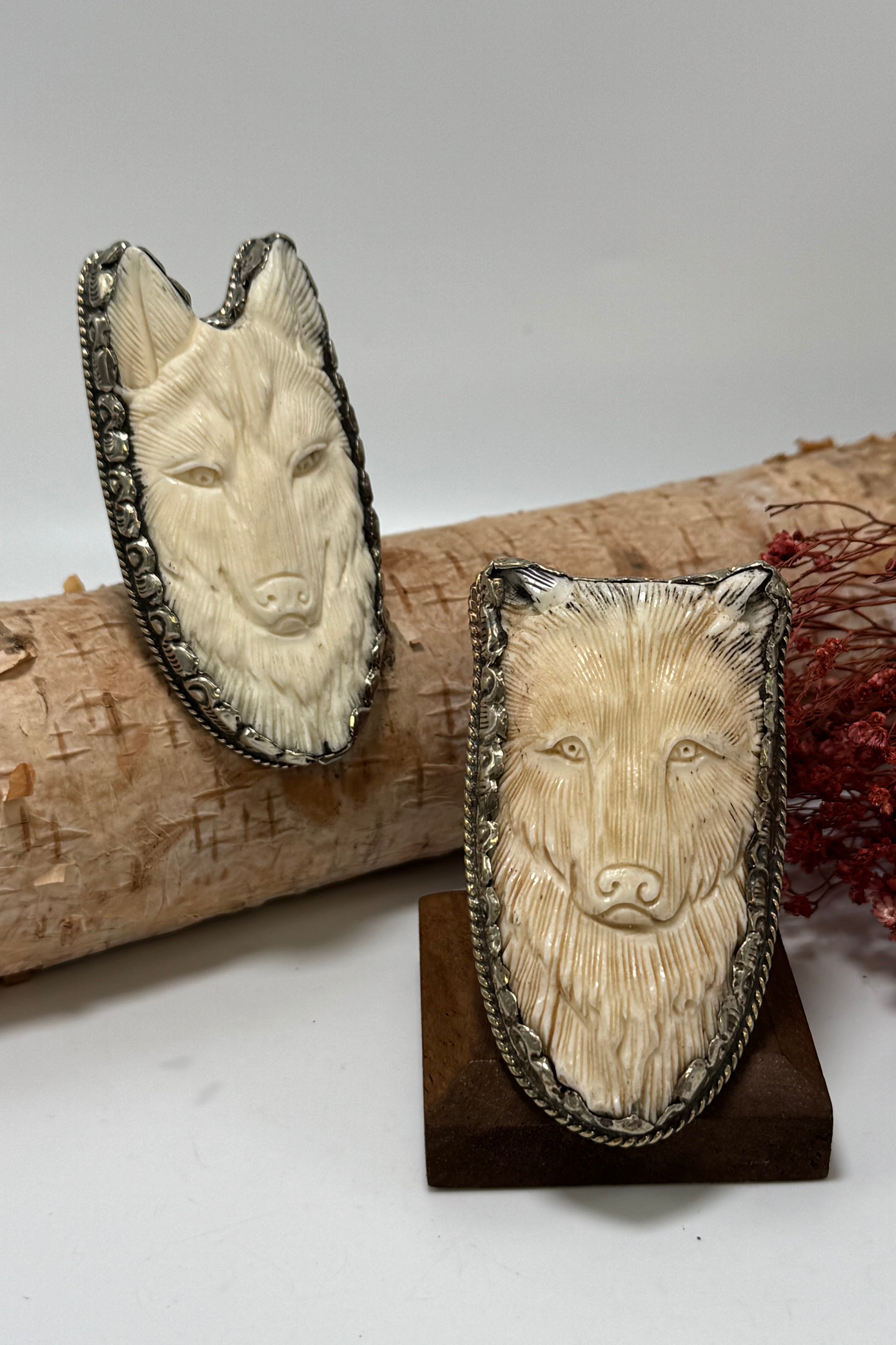 Inner Animal Ring