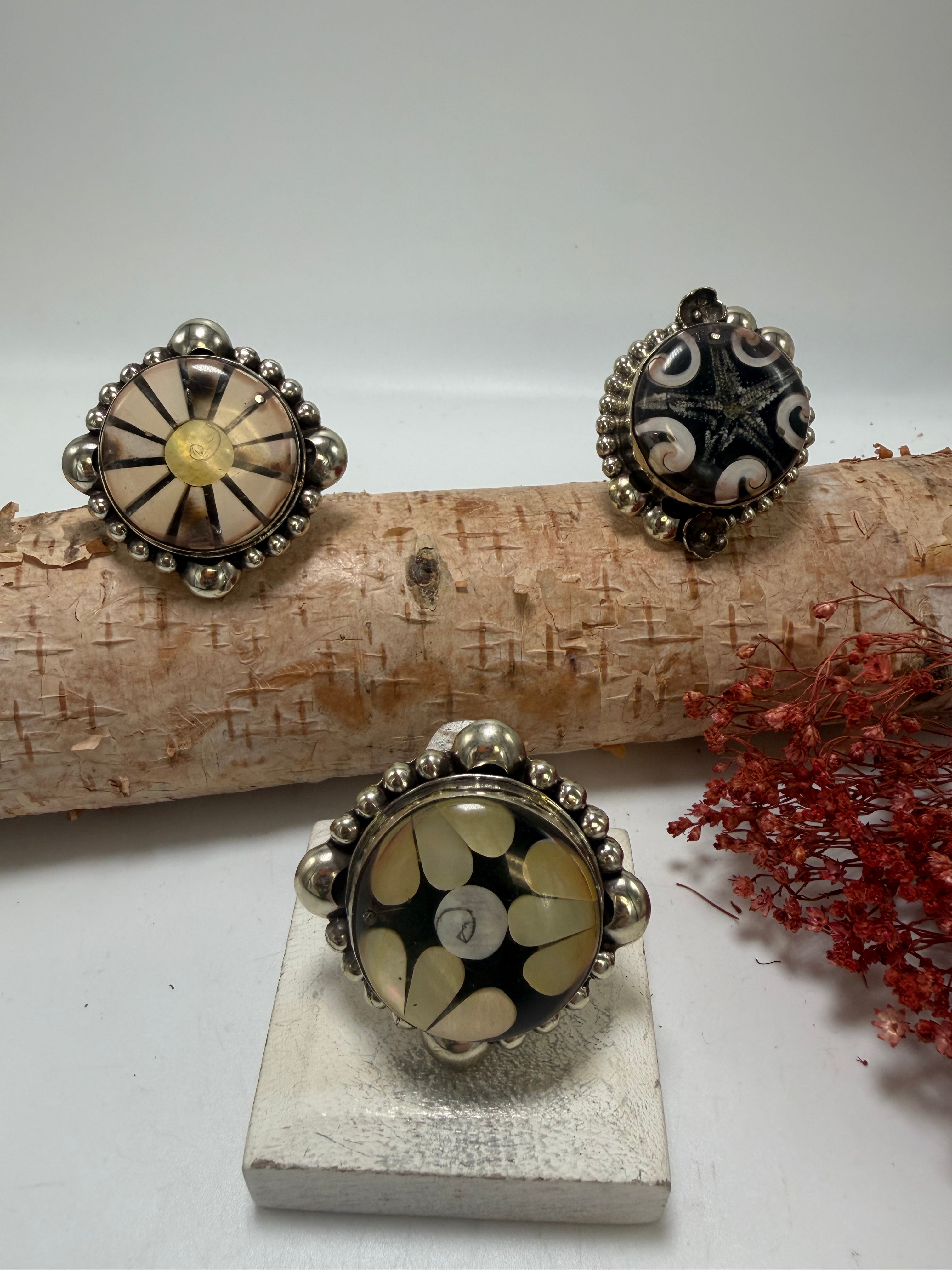 The Shell in the Circle Ring