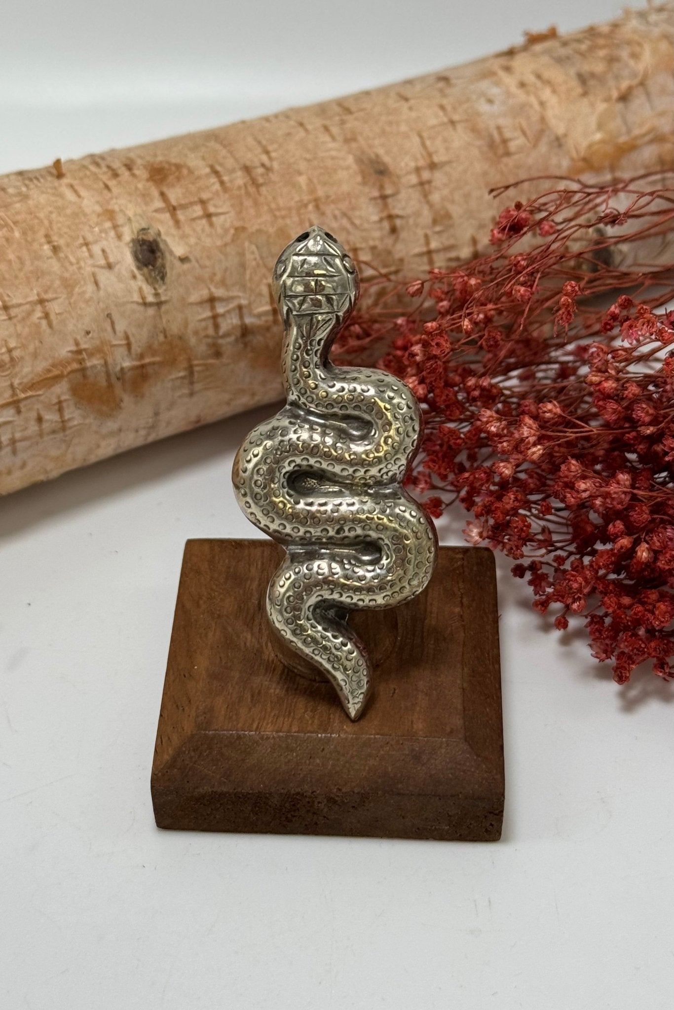 Silver Slither Snake Ring - ivyandlavyboutique ivyandlavyboutique