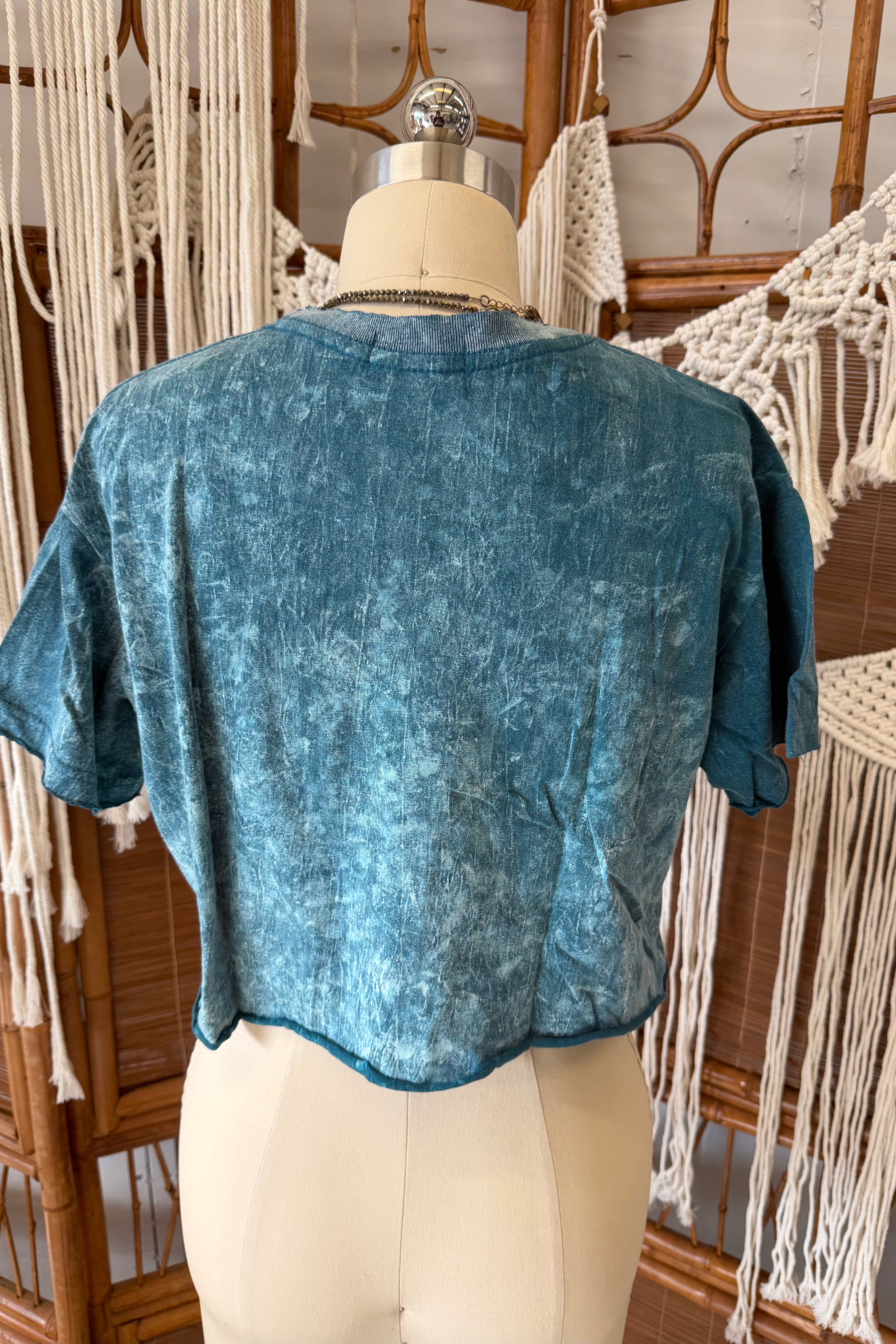 All Seeing Kitty Crop Tee