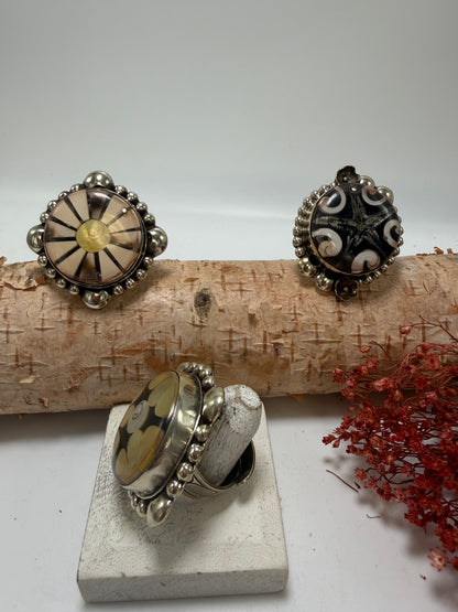 The Shell in the Circle Ring