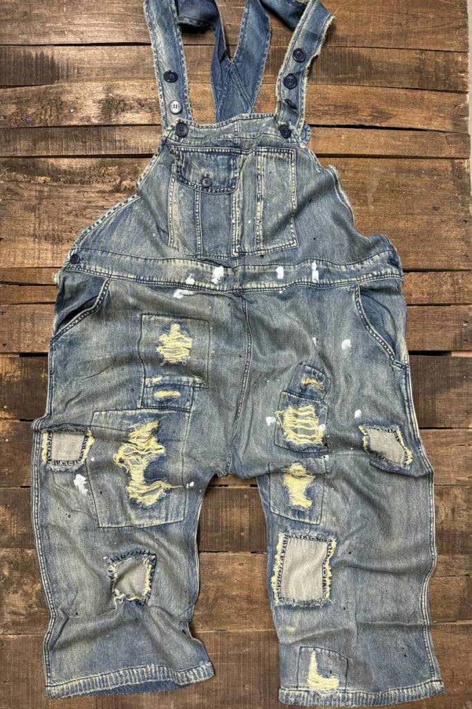 Endless Travels Overalls in Chambray