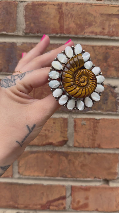 Just Swirl Carved Shell in Tigers Eye Ring - 6