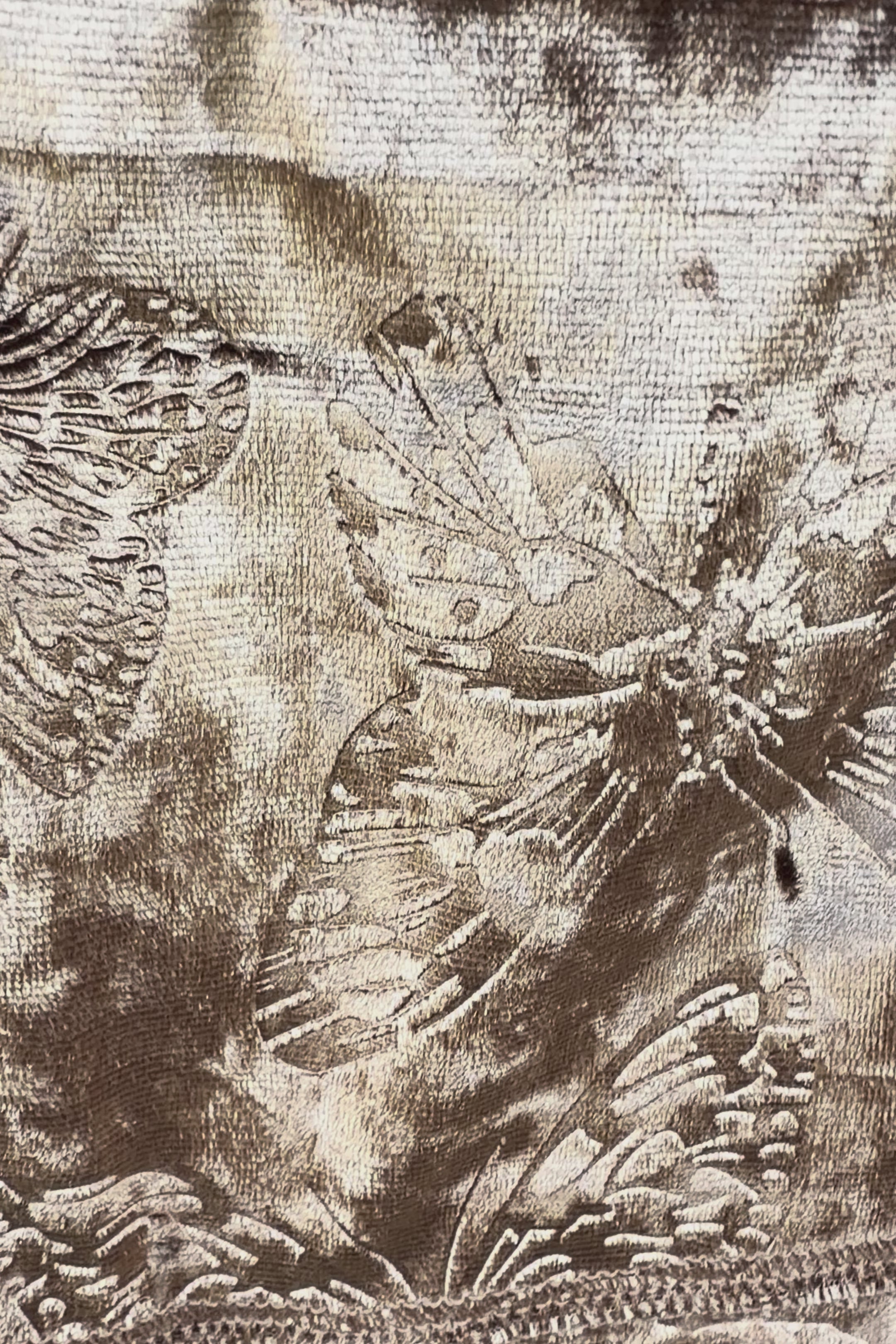 Velvet Butterfly Ruffle Pants