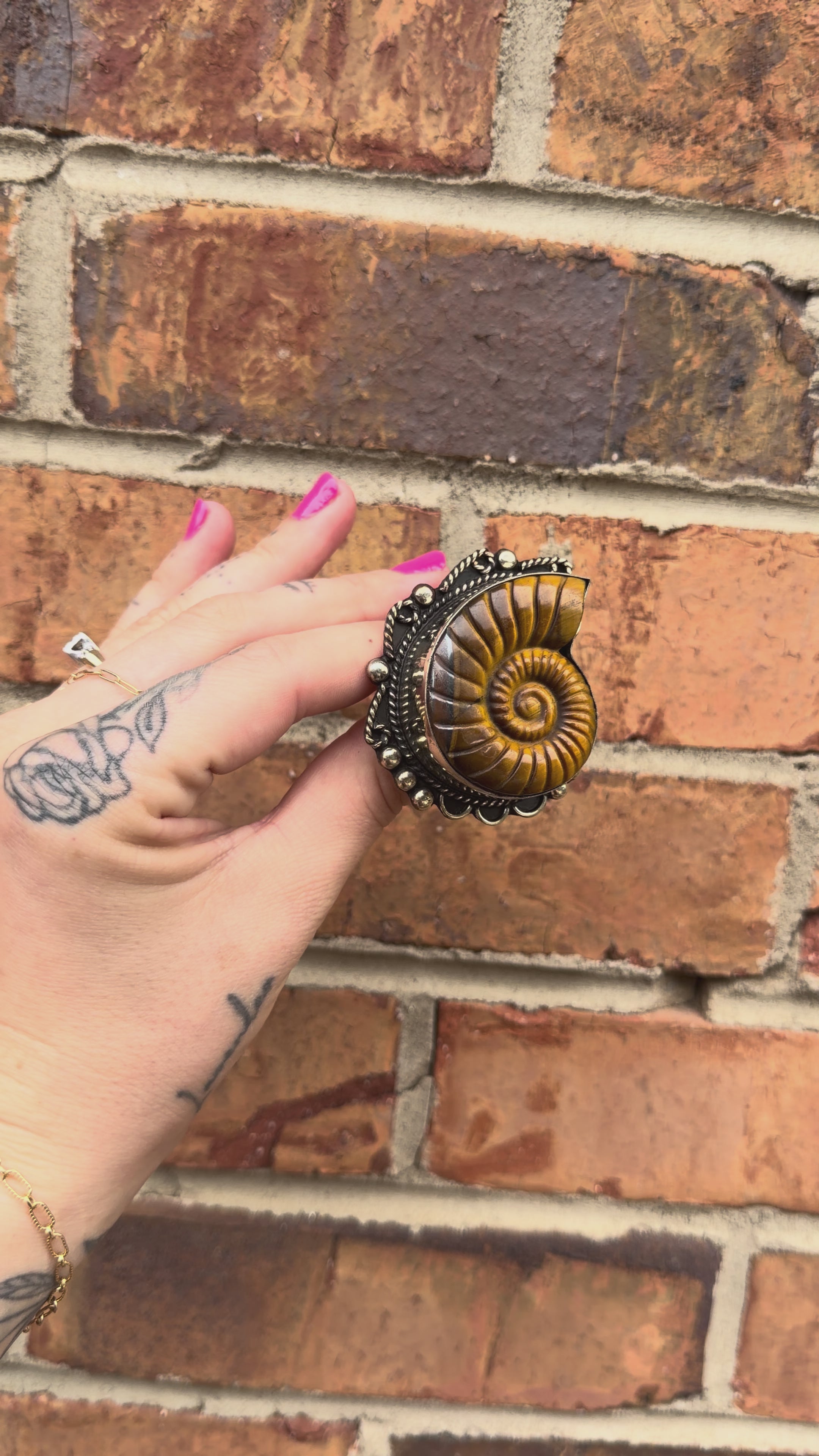Just Swirl Carved Shell in Tigers Eye Ring - 3